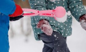 Турнир по игре в снежки пройдет на Воробьевых горах