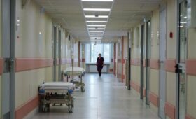 В Подмосковье выписан после выздоровления последний пациент с оспой обезьян