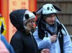 Гости в костюме панд смогут бесплатно посетить Московский зоопарк 21 февраля