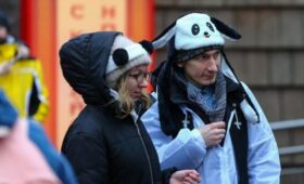 Гости в костюме панд смогут бесплатно посетить Московский зоопарк 21 февраля