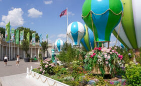 Около 800 тысяч цветов украсят столичные парки в апреле и мае