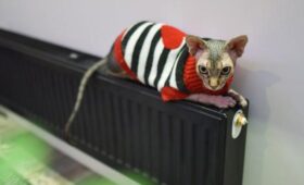 Роскачество: отопление отключают при среднесуточной температуре плюс 8 градусов