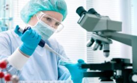 Новый случай заражения оспой обезьян выявлен в Санкт-Петербурге