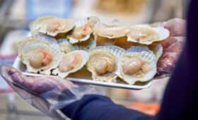 Посетителей рыбных рынков «Москва – на волне» ждут скидки и дегустации к 8 Марта