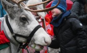 День весеннего равноденствия отметят на «Городской ферме» ВДНХ