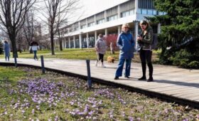 Воздух в Москве может прогреться до 19 градусов 30 и 31 марта