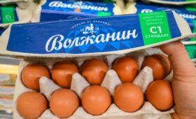 Фабрика «Волжанин» возобновила работу после возможной вспышки гриппа птиц