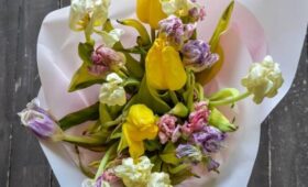 Терапевт Азизова: плесень от увядающих цветов может вызвать проблемы со здоровьем