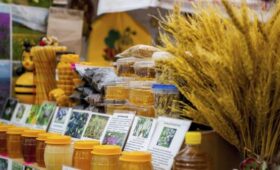 Москва онлайн покажет обзор Всероссийской ярмарки меда в «Коломенском»