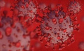 Врач Онищенко: защититься от варианта COVID «Цикада» можно, соблюдая гигиену