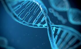 «Коммерсант»: 16% русских имеют вариант гена, снижающий риск «холестериновых бляшек»