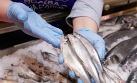 Сезон корюшки стартовал на рыбных рынках «Москва – на волне»