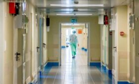 В столице не выявлено ни одного случая заражения вирусом «Цикада»