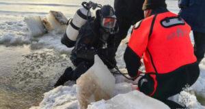 Спасатели обследовали почти 20 км Москвы-реки в Звенигороде в поисках пропавших детей