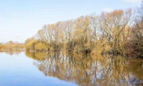 Оранжевый уровень опасности из-за паводка объявлен в Подмосковье до среды