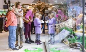 Сергунина рассказала о самых популярных у детской аудитории столичных музеях