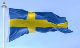 МИД Швеции осуществил устный демарш перед послом РФ