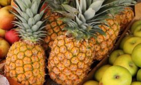 Диетолог Сюракшина: ананас и яблоки обладают отрицательной калорийностью