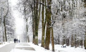 Мокрый снег и до 3 градусов тепла ожидаются в Москве 8 марта