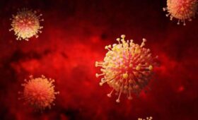 Роспотребнадзор заявил о стабильной эпидситуации по COVID-19 во всех регионах РФ