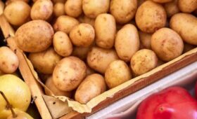 Минимальную цену на картофель могут ввести в России