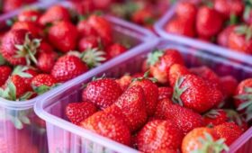 Ассортимент продуктов из Крыма в магазинах Москвы растет год от года