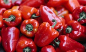 Эксперт Плугов: в России возможны перебои с поставками сладкого перца из Ирана