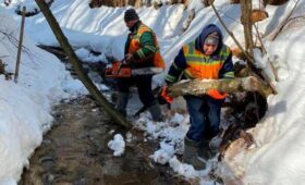 В Москве очистили 192 км русел малых рек и ручьев перед весенним половодьем