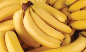 Эндокринолог Долгушин: жирная рыба, темный шоколад и бананы повысят настроение весной