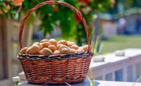 Россия вошла в тройку лидеров среди G20 по доступности картофеля