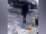 Полицейские вернули женщине похищенную на севере Москвы собаку породы акита-ину