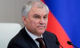 Володин заявил, что женщина должна сама принимать решение об аборте