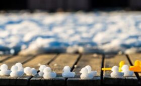 10 марта стало самым теплым днем с начала года в Москве