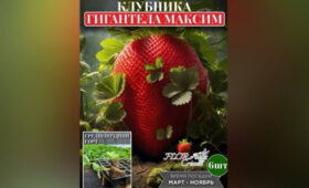 Wildberries заблокировал карточки товаров с нарисованными ИИ саженцами