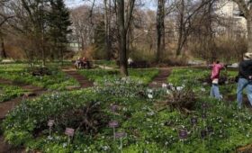 «Аптекарский огород» в Москве возобновит работу после непогоды 29 апреля