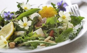 Диетолог Залетова: сныть и одуванчик в рационе помогут восполнить нехватку витаминов