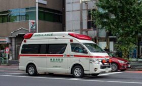 В Японии мужчина укусил женщину в парке и умер