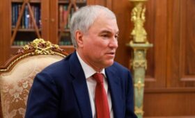 Володин заявил, что не вставшие на воинский учет лишатся приобретенного гражданства РФ