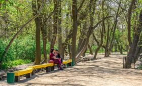 Российско-китайский «Сад дружбы» открылся в Пекине