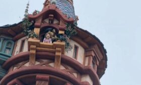 Вороны напали на Рапунцель в «Диснейленде» в Токио