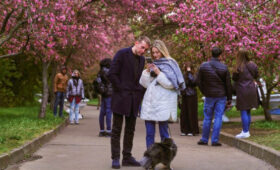 Специальный проект «Парки Москвы» открылся на сайте «Активного гражданина»