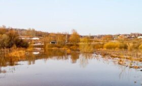 Половодье в Московском регионе проходит штатно