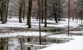 Более 100% месячной нормы осадков выпало в Московском регионе за сутки