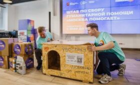 Москвичи собрали более 10 тонн помощи для животных Белгородской области и ДНР