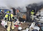 200 собак погибли при пожаре в Нижнем Новгороде