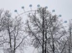 Столичные парки закроют для посещения из-за снегопада