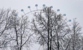 Столичные парки закроют для посещения из-за снегопада