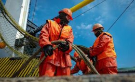 Кабмин РФ разрешил российским рыбакам ловить рыб-ведьм