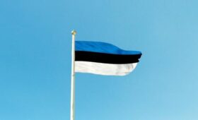 МИД Эстонии призвал Киев не направлять дроны ВСУ в воздушное пространство страны