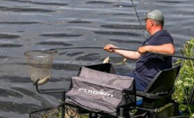 В Росрыболовстве назвали высокой вероятность продления запрета на вылов воблы
